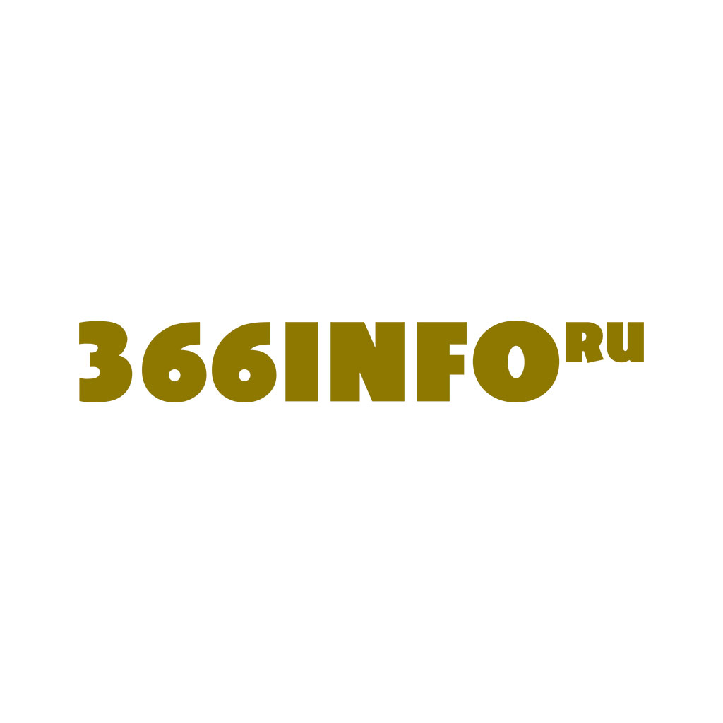 366info.ru - логотип